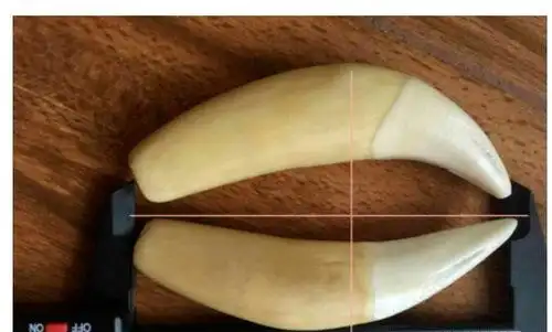 虎牙怎么分辨真假你需要学习了