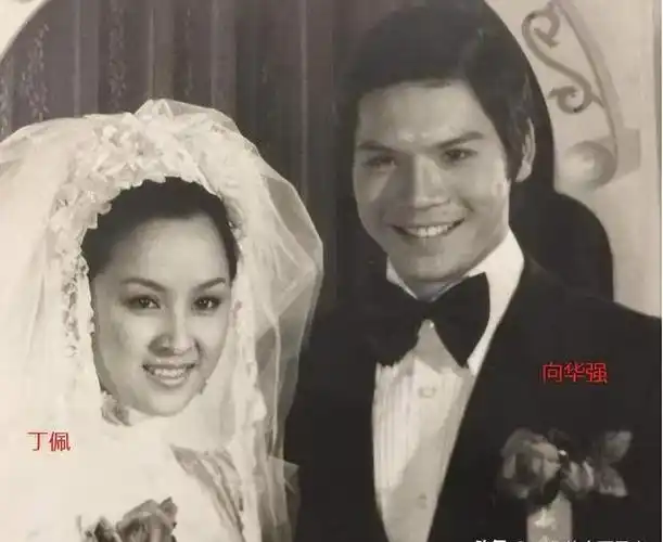 向华强的烦恼:优秀的大女儿不婚不育,宠爱的俩儿子却扶不上墙