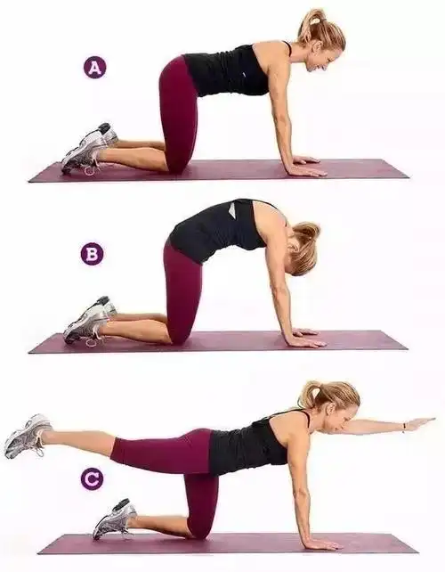 久坐腰肌劳损几个拉伸动作缓解肌肉僵硬身体酸痛