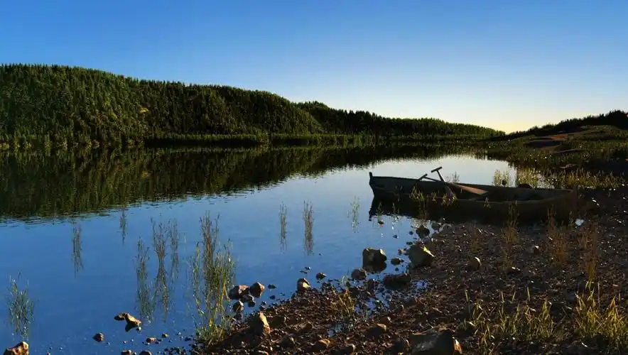 壁纸 花 桌面 711_1024 竖版 竖屏 手机_风景520