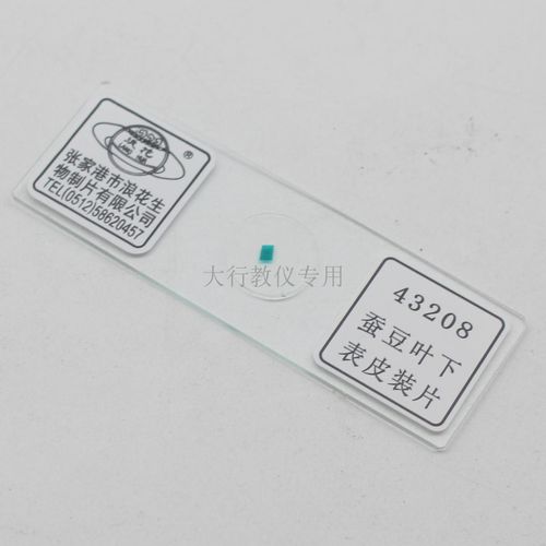 43208蚕豆叶下表皮装片张家港浪花牌中学生物实验室用器材教具