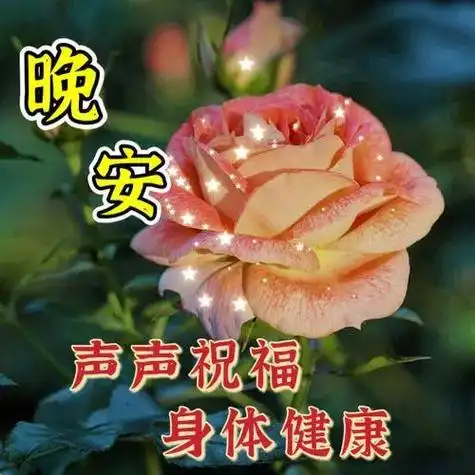 晚上好图片大全晚上好问候祝福语愿您好梦