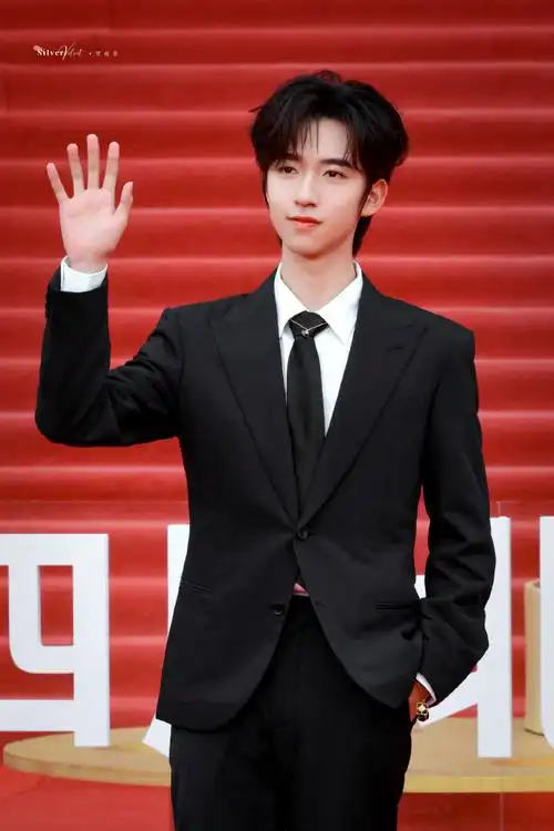 贺峻霖北影节主持