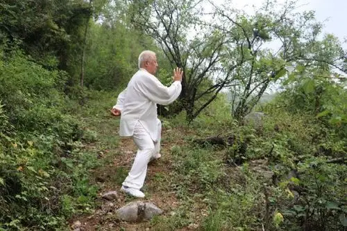 上下动而中部应之.中部动而上下和之.