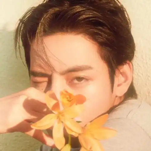 金泰亨头像##金泰亨kpop永一