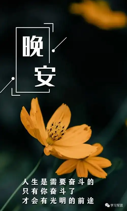 晚间悦读|这些有深度有品味的句子,送给你!