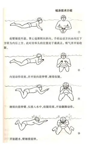 蛙泳技术介绍