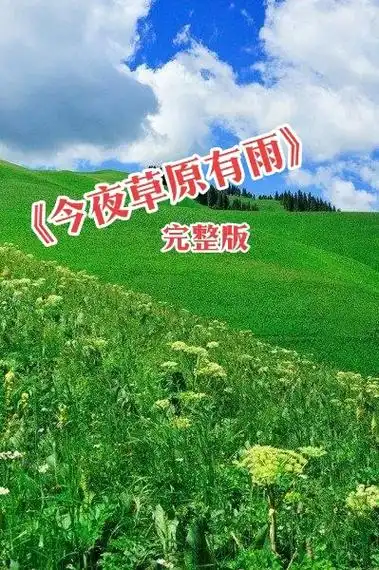 完整版今夜草原有雨