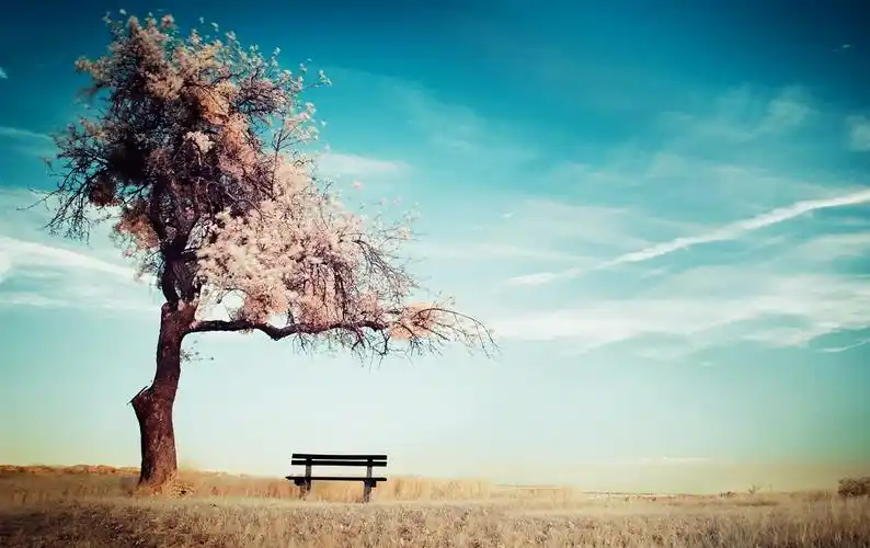 清新淡雅静谧风景壁纸_淡雅的美丽风景