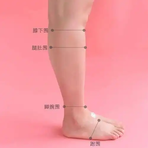 女生腿围数据大搜集