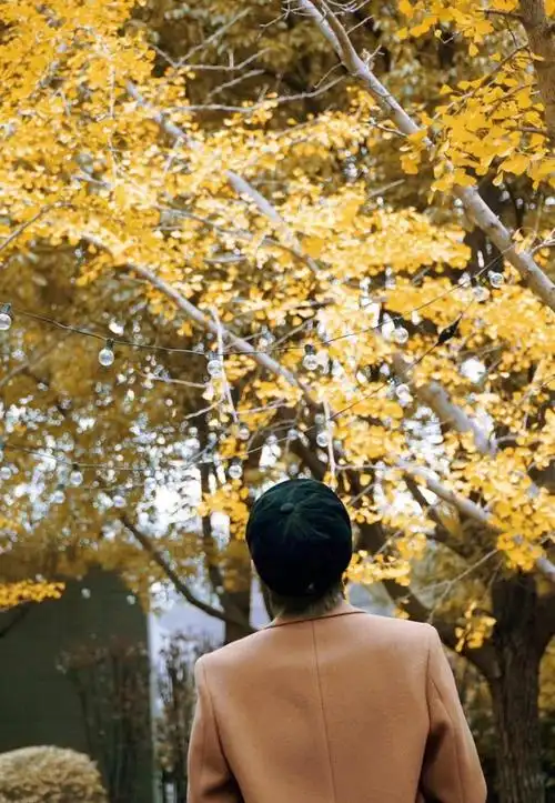 林彦俊身穿棕色外套迷人背影气质满分充满神秘感