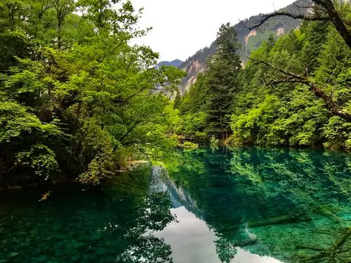 第一个景点就是当属九寨沟最美的五花海,碧水澄澈,清可见底仿若仙境般