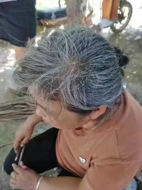 有没有不染就变黑的 只是洗个头的时间一头白发就变黑的 推荐一下