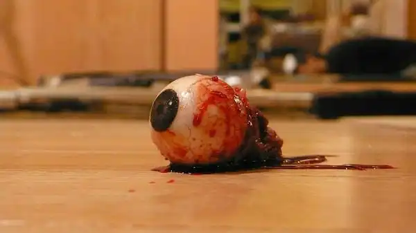 这个眼珠后来被男主人一脚踩下去烂在鞋底.