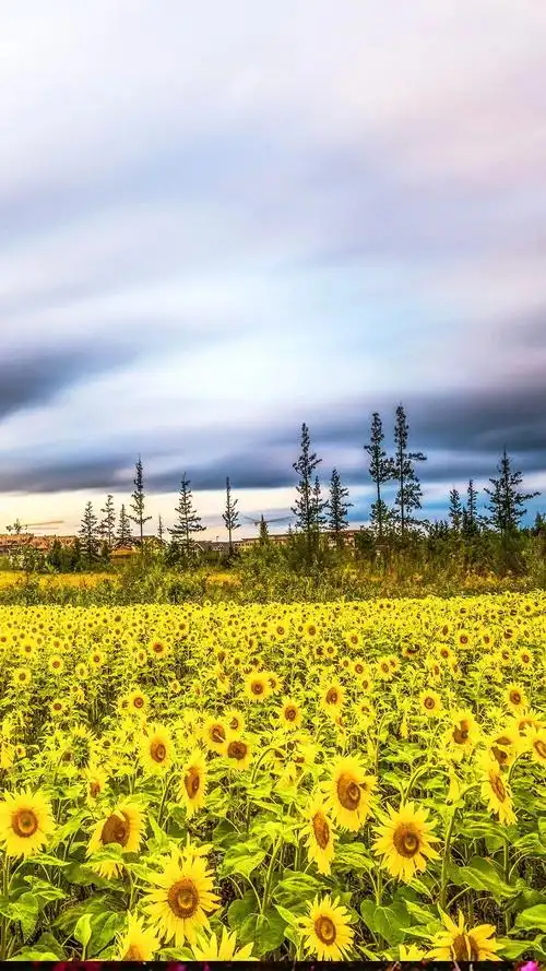 我把吉林做成了"手机屏保"!请长按保存!_小吉