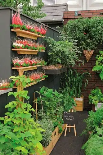 【菜园设计集锦】