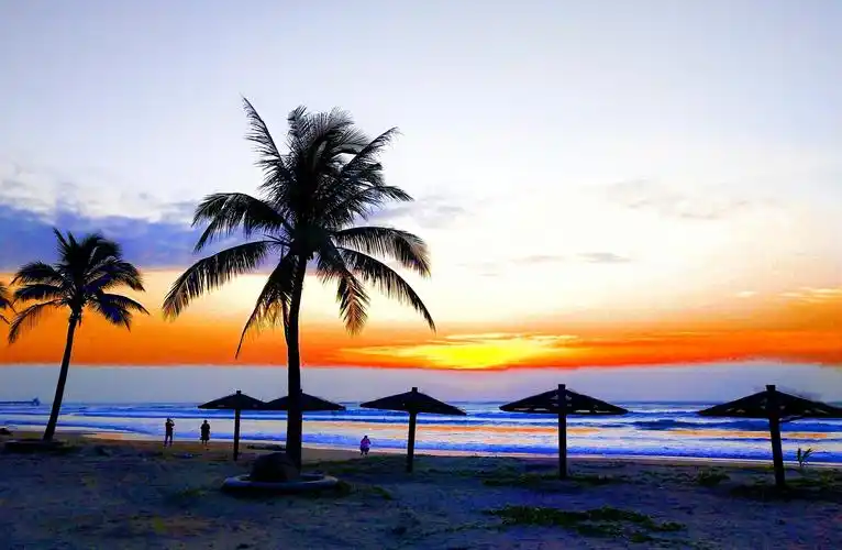 海南金秋休闲康养四天之旅(手机版)