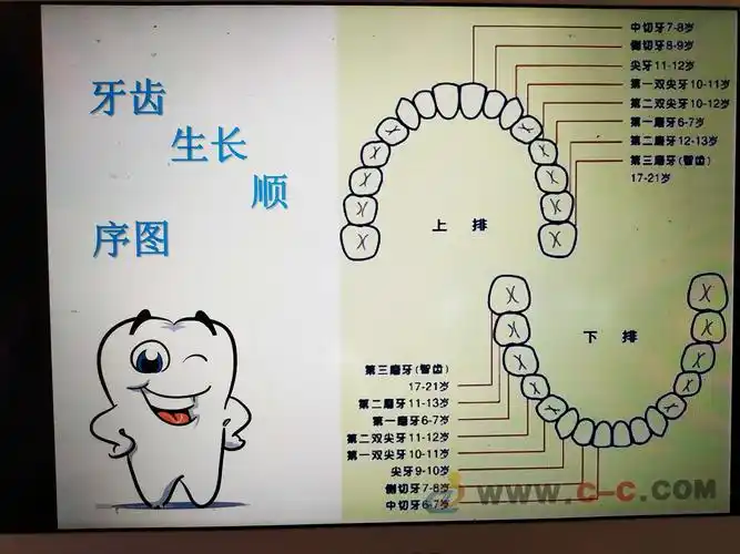 玉溪市二幼园本部大四班家长开放日活动