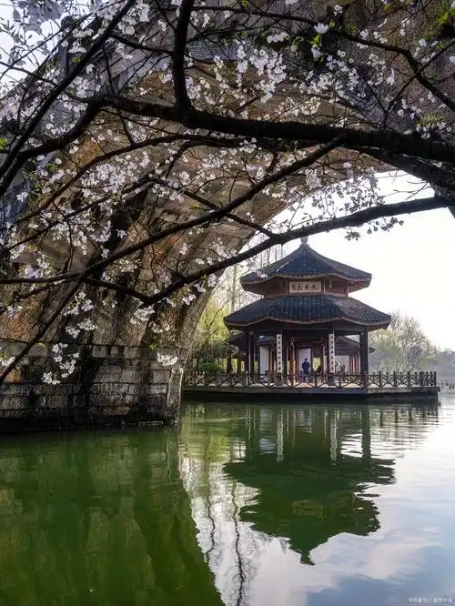 西湖十景之苏堤春晓,花港观鱼,柳浪闻莺