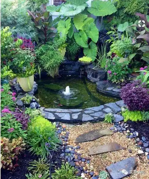 院子里做个这样池塘,美到十里八乡来观望!