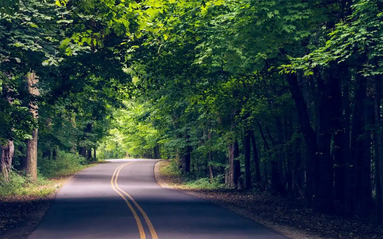 清新树林绿色马路唯美意境高清电脑壁纸图片大全