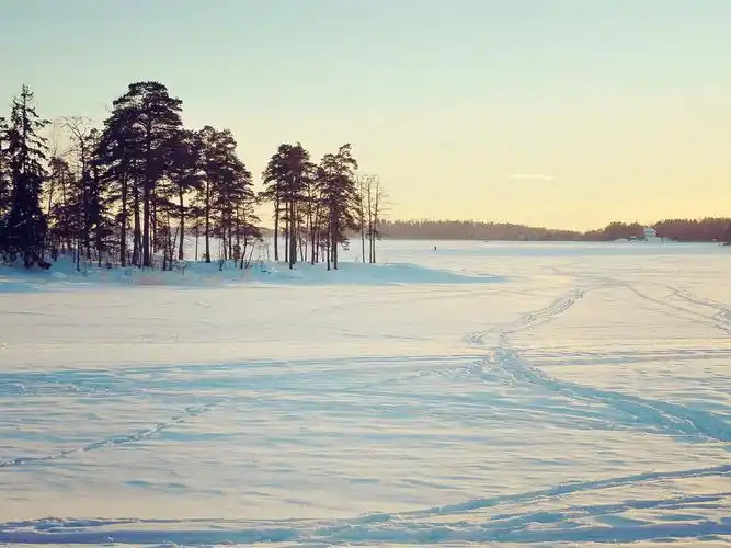 冰雪世界,树木,阳光,明媚,纯净,雪地,天气(雪),冬日物语,风景,阳光