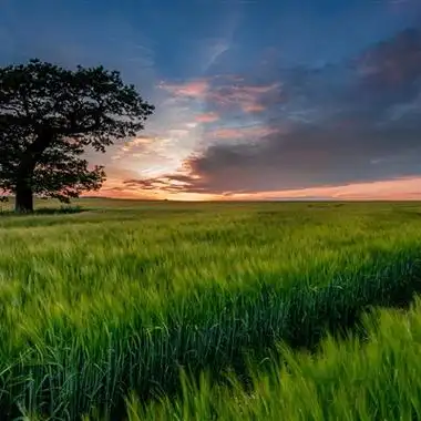 头像大自然头像,2020最美大自然的风景头像图片