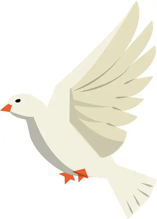 鸽子鸟飞翔的卡通图片