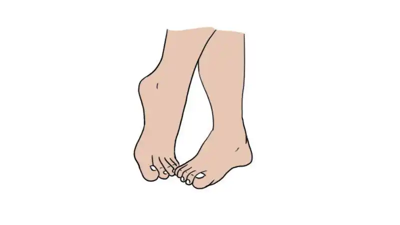 脚趾彩色简笔画