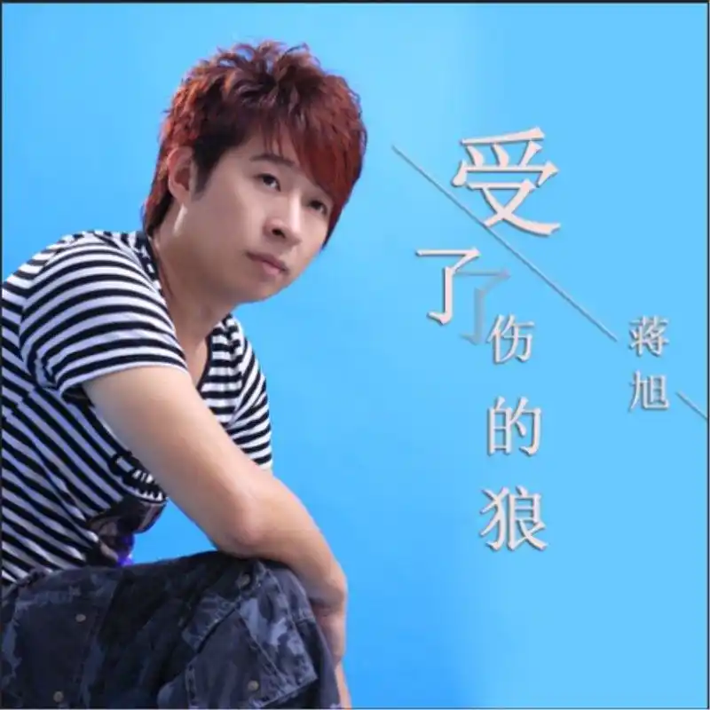 受了伤的狼 (dj版)_蒋旭_高音质在线试听_受了伤