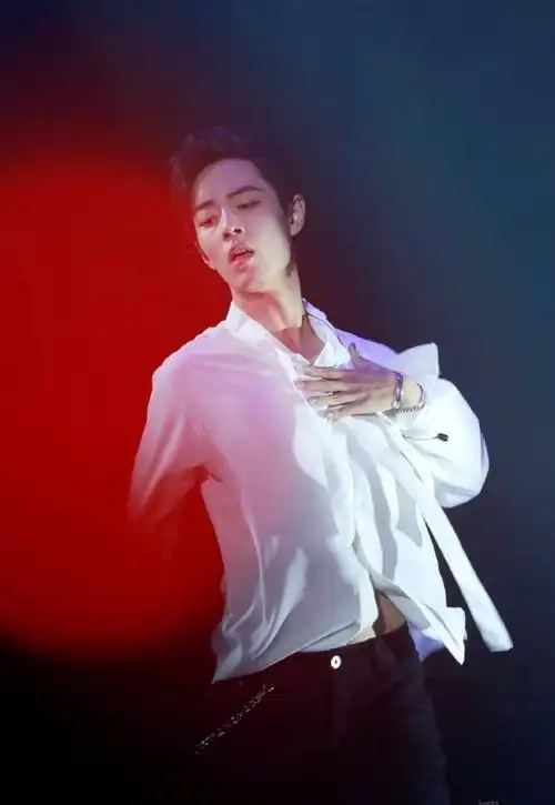 明星的锁骨可以有多欲##肖战