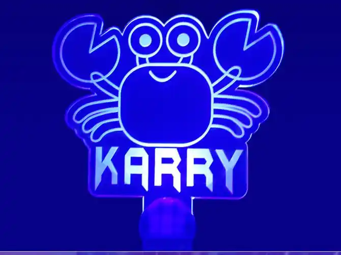 明星应援棒 王俊凯荧光棒应援灯牌应援棒演唱会led手举发光牌周边端午