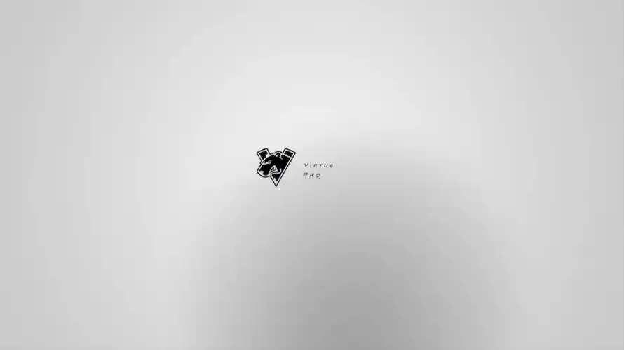 今天分享一张virtuspro的浅色系简约壁纸