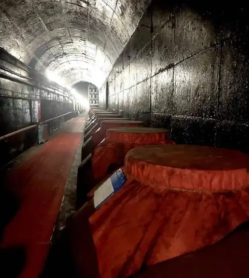 一行人十余步便来到地下酒窖门口.