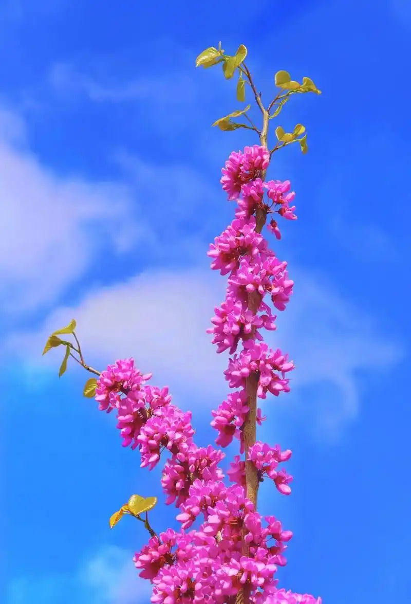 人生还很长,一程有一程的风景,18岁没去看成的风景