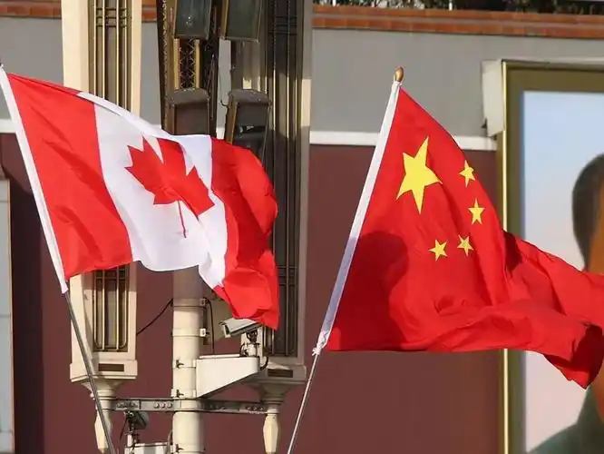 突发|第二家被禁!中国已全面停止加拿大油菜籽进口_特鲁多