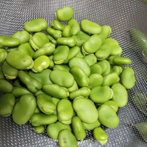 第2步,把蚕豆米清洗一下.