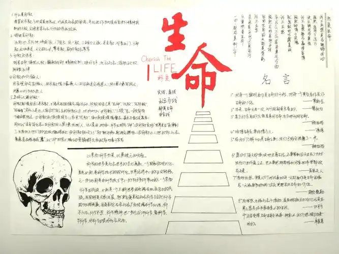 d&m动漫社开展反邪教漫画(手抄报)评选活动