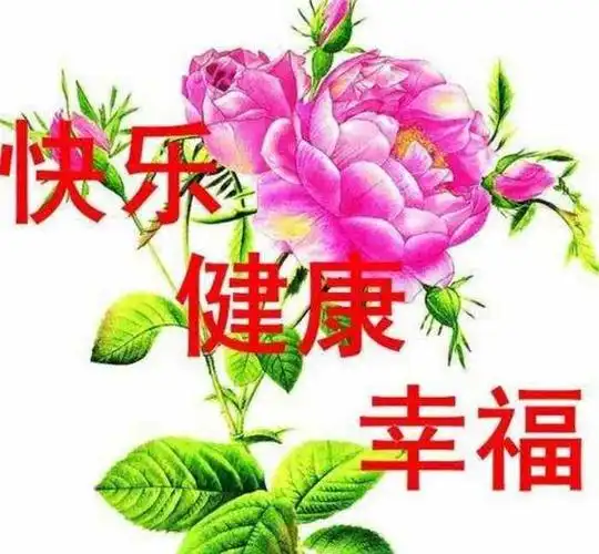 如何快乐,健康,幸福