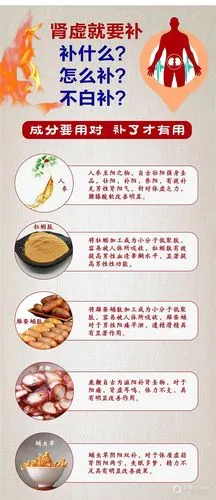 【施太医】人参牡蛎肽片功效 补肾壮阳 北京集寿堂招商