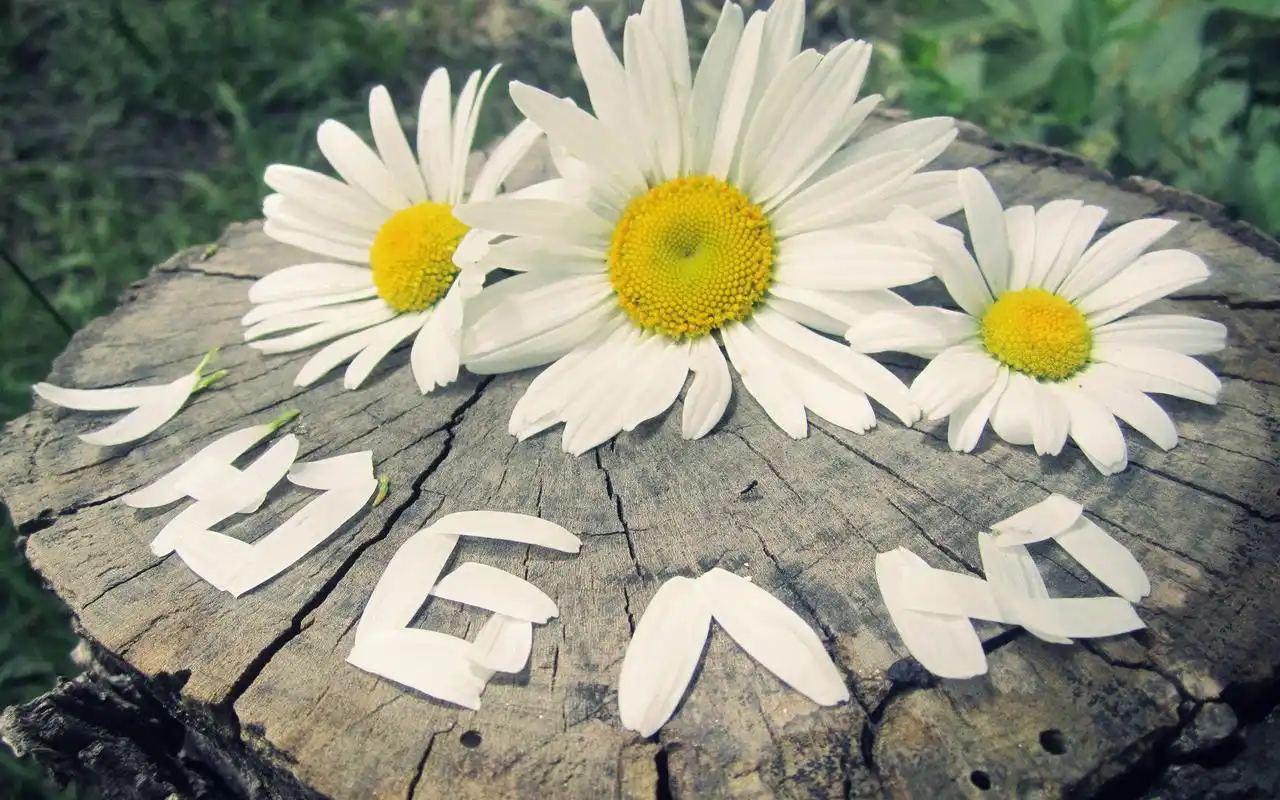 小清新唯美意境风景桌面壁纸