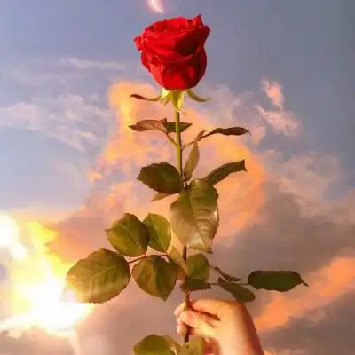 微信好运花朵头像女 好运会与你_微信头像_我要个性网