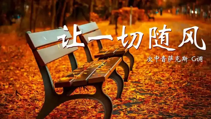 粤语金曲《让一切随风》,萨克斯演奏沧桑悲凉,让人回味无穷!