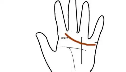 看懂手中三大主纹:人纹,天纹,地纹,人生运势可知悉_生命线_理智_事业