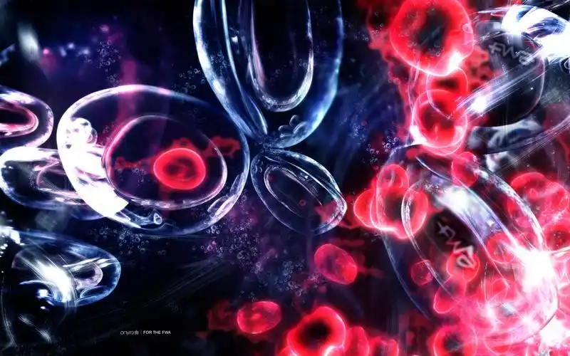 宽屏fwa创意个性壁纸