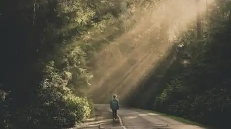 树林,阳光,公路,人,女孩,背影,唯美意境壁纸