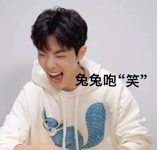 快乐发电战肖战表情包大赏