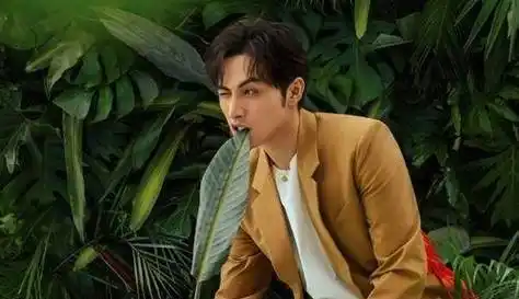 张彬彬机场粉丝太多安保直接架着走,张彬彬再次爆火之后算不算是顶流?