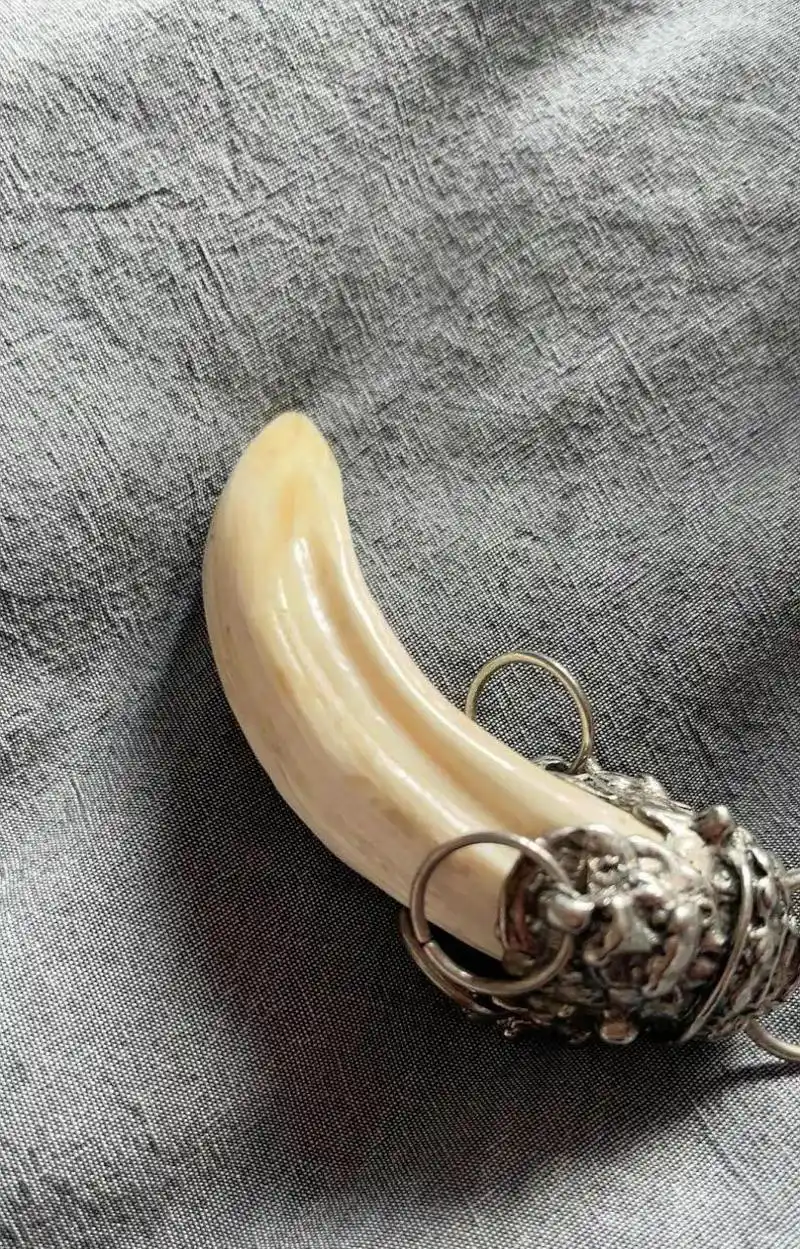 男朋友送给我的,他说这个是老虎的牙,挺值钱的