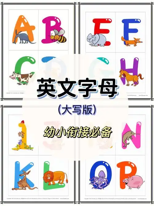 字母闪卡英文字母大写